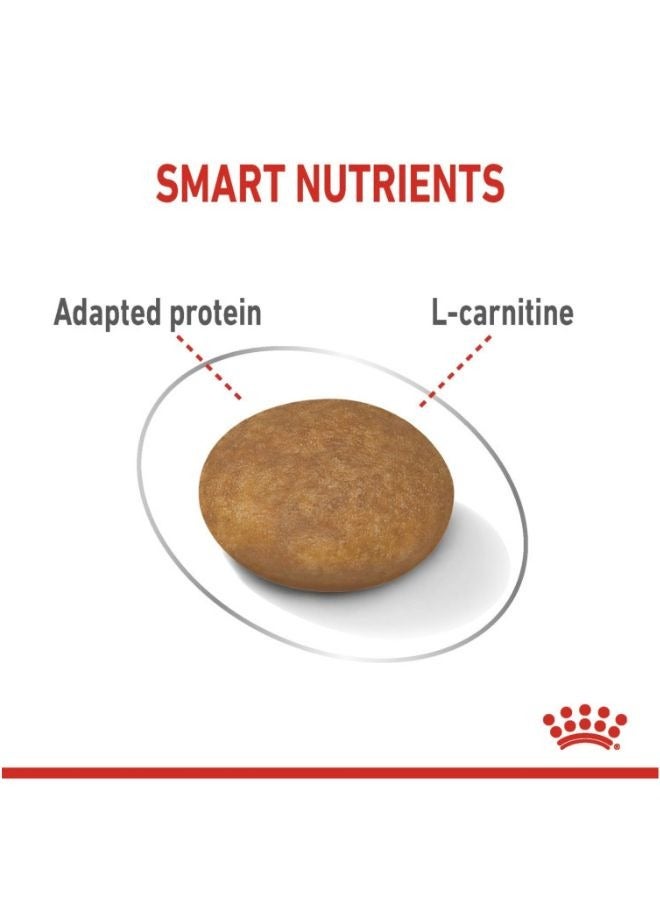 رويال كانين تغذية العناية بالكلاب XS للعناية بالوزن الخفيف للبالغين 1.5 كجم - Image 3