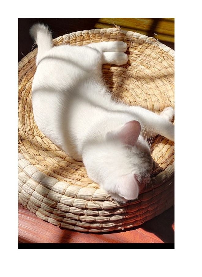 fashionhome - Hand-Woven Large Rabbit Nest Summer Breathable Natural Straw Mat - Image 1