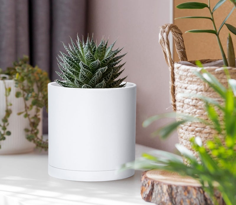 D'vine Dev 4 Pack 4 Inch Modern Plastic Plant Pots, Small Garden Planters for Plant with Drainage Holes and Saucers, White Color, 74-Z-E-2 - Image 3