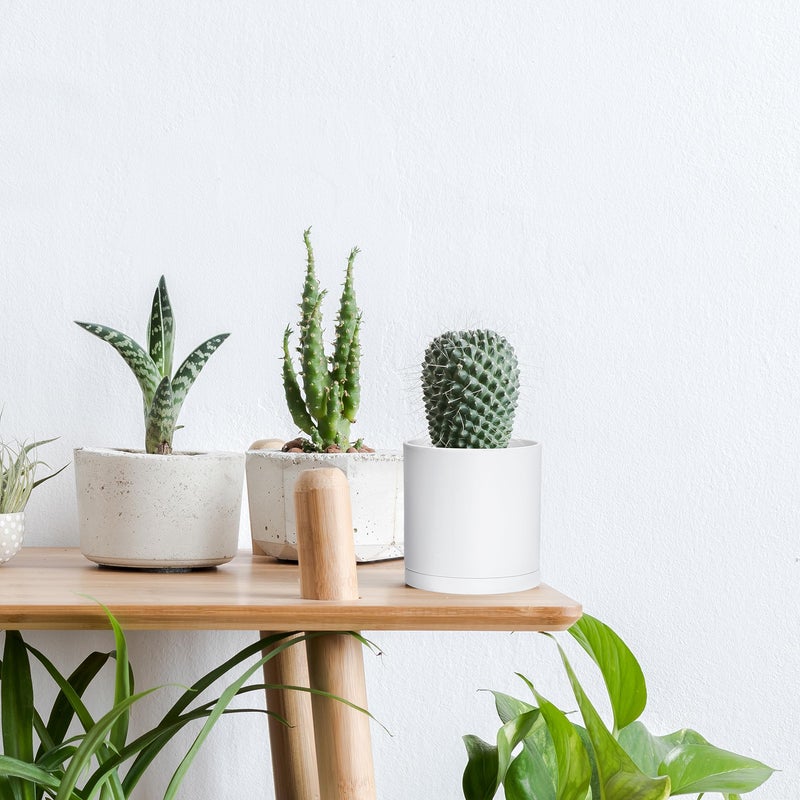 D'vine Dev 4 Pack 4 Inch Modern Plastic Plant Pots, Small Garden Planters for Plant with Drainage Holes and Saucers, White Color, 74-Z-E-2 - Image 5
