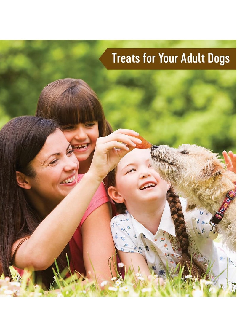 Dog Fest 2pcs Chicken Tenders Soft Handcrafted Treats For Adult Dogs 2X90g  - Image 4