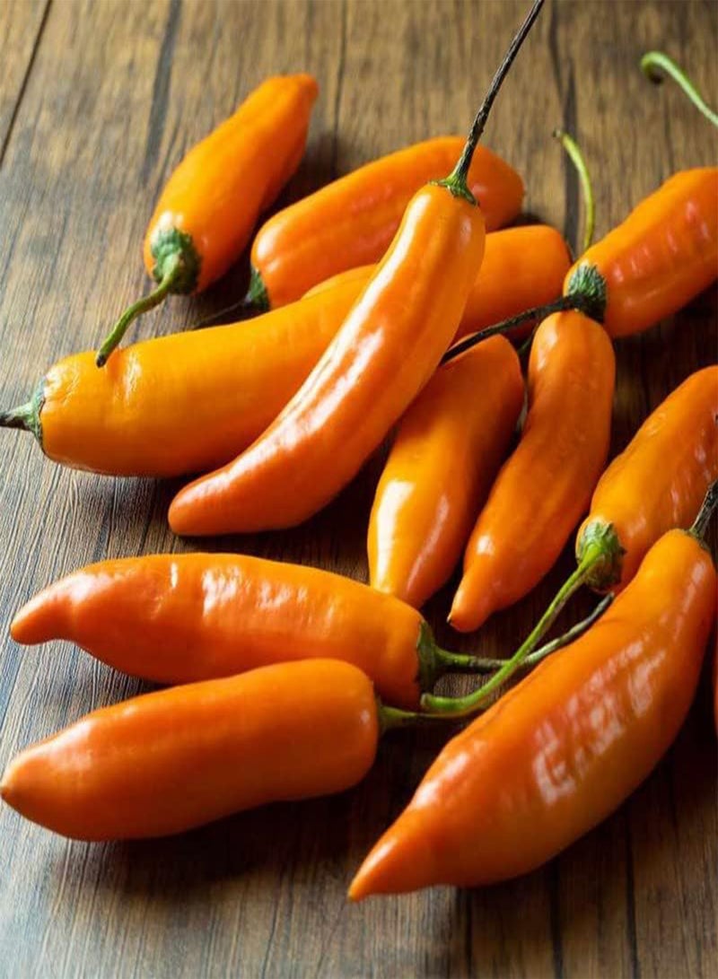 GGOOT Aji Amarillo-Peruvian Yellow, Seeds,Use Fresh,Roasted,dried,Sauces,powder(30 Seeds) - Image 5
