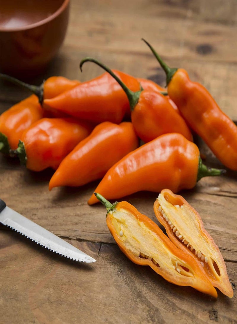 GGOOT Aji Amarillo-Peruvian Yellow, Seeds,Use Fresh,Roasted,dried,Sauces,powder(30 Seeds) - Image 3