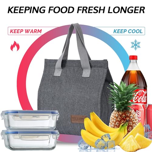 TELLUMO Lunch bag, Insulated Lunch Bag for Women Men Large Lunch Box Container Reusable Leakproof Tote for Office, Work, School, Beach or Travel (Grey) - Image 2