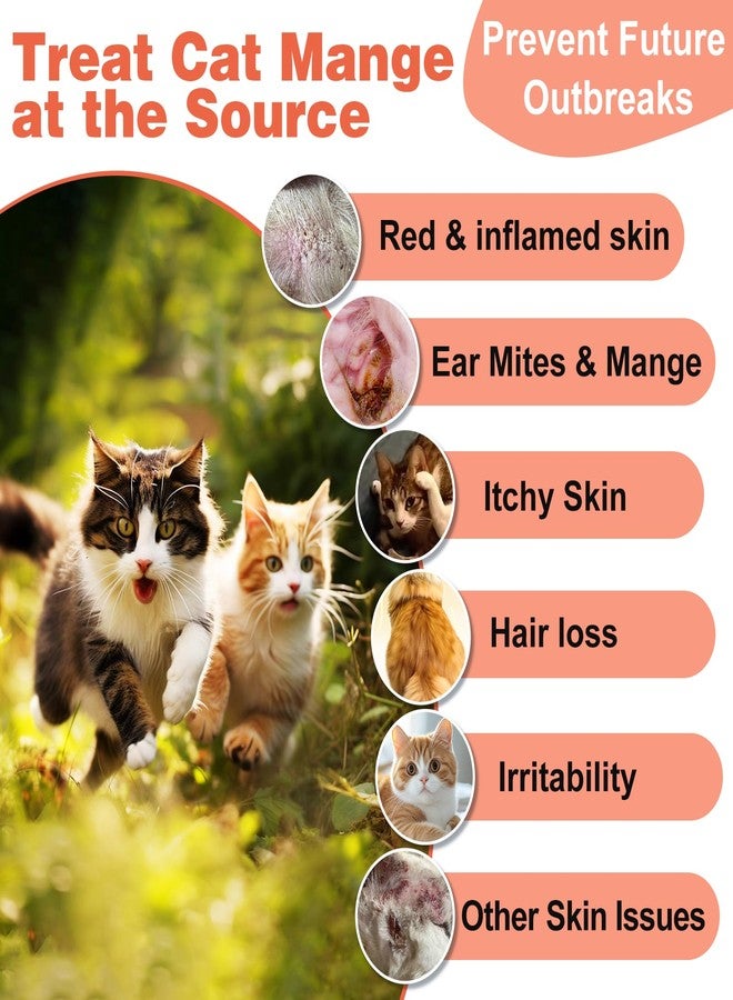 Netrca Mange Treatment Cats, Hair Regrowth, Skin Repair, Treats Scratching, Itch & Scabs, Ear Cleaning, Scabby Cat Treatment, Safe for Feral & Stray Cats, 200 Pills - Image 2