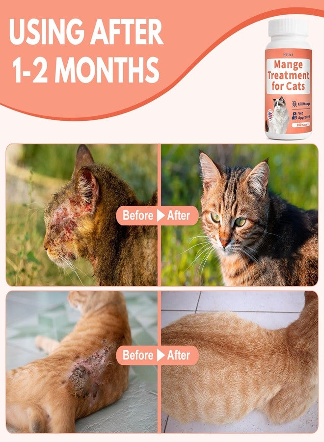 Netrca Mange Treatment Cats, Hair Regrowth, Skin Repair, Treats Scratching, Itch & Scabs, Ear Cleaning, Scabby Cat Treatment, Safe for Feral & Stray Cats, 200 Pills - Image 3