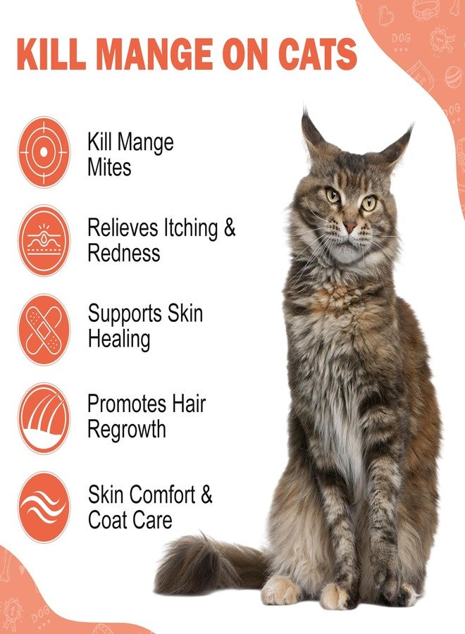 Netrca Mange Treatment Cats, Hair Regrowth, Skin Repair, Treats Scratching, Itch & Scabs, Ear Cleaning, Scabby Cat Treatment, Safe for Feral & Stray Cats, 200 Pills - Image 5