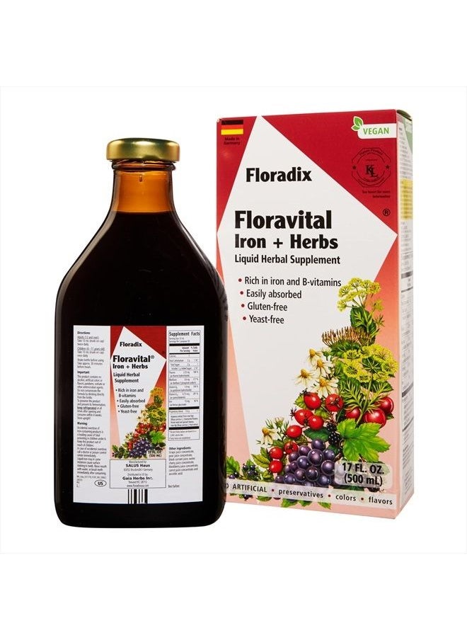 Floradix - FLORADIX Iron & Herbs, 17 FZ - Image 1