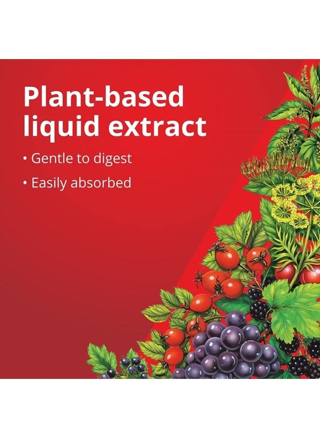 Floradix - FLORADIX Iron & Herbs, 17 FZ - Image 1