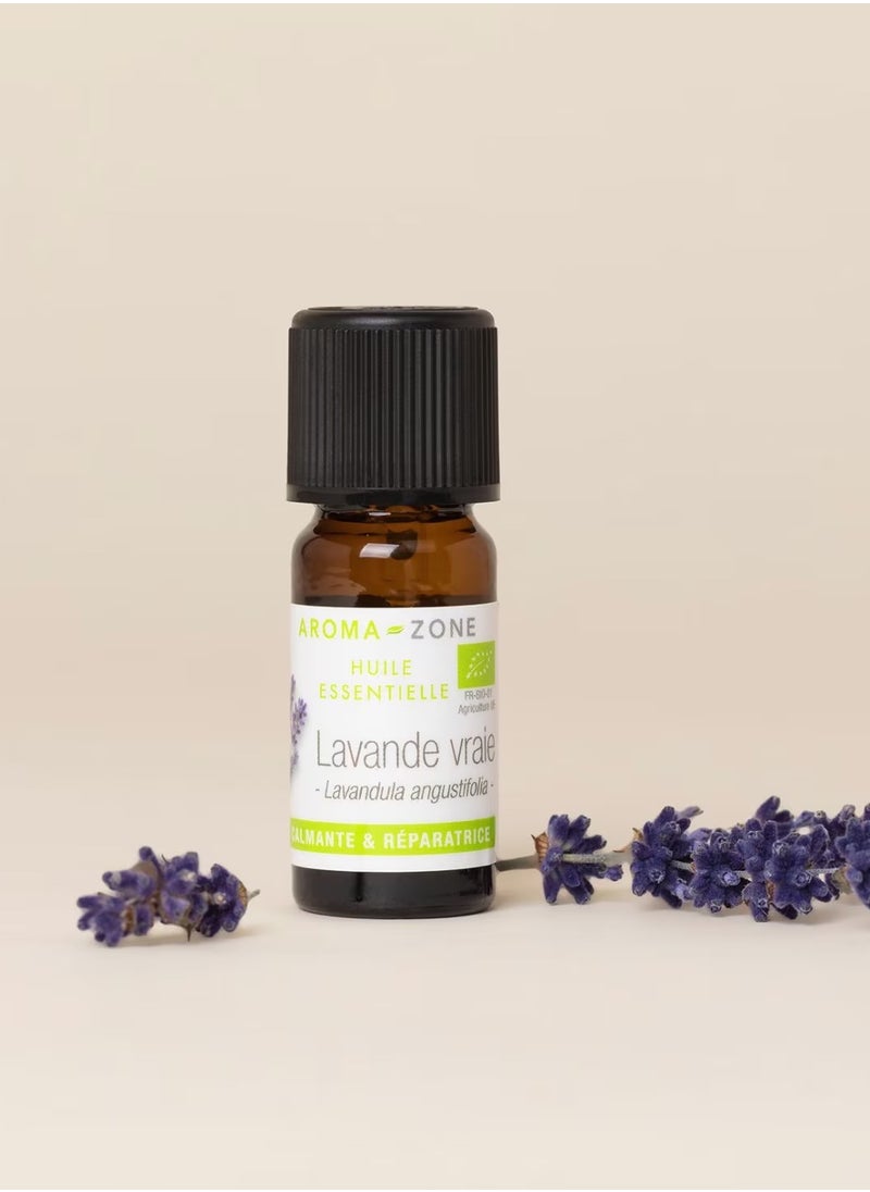 Aroma Aroma Zone Organic Lavender Essential Oil 