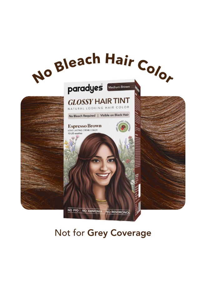Paradyes No Bleach Espresso Brown Glossy Hair Tint for Natural Black Hair - Ammonia-Free Formula With Anti-Fade Conditioner for Long-Lasting Shine - 1 Count - Image 2