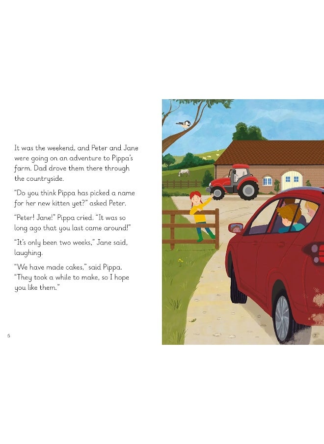 Key Words with Peter and Jane: new global edition Level 11 Book 3  - Image 2