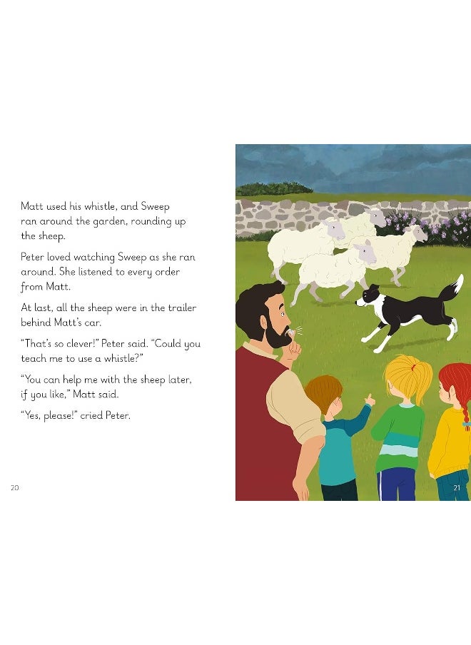 Key Words with Peter and Jane: new global edition Level 11 Book 3  - Image 3