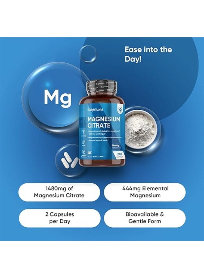 سترات المغنيسيوم 444 ملغ – يدعم صحة العضلات والأعصاب والعظام – 240 كبسولة – صنع في المملكة المتحدة - Image 2