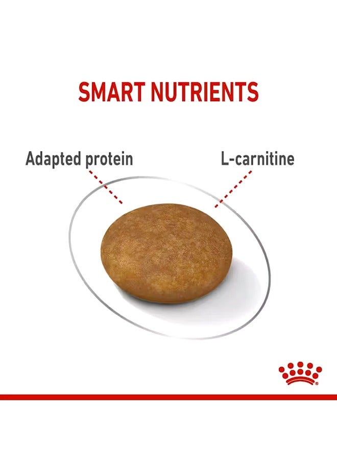 رويال كانين كلاب كير XS للعناية بالوزن الخفيف للكبار - 1.5 كجم - Image 3