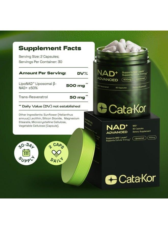 Cata-Kor NMNH Supplement Alternative – Liposomal NAD + Resveratrol – 30-Day Supply – High Purity NAD Supplement for Energy & Healthy Aging – 60 Capsules - Image 5