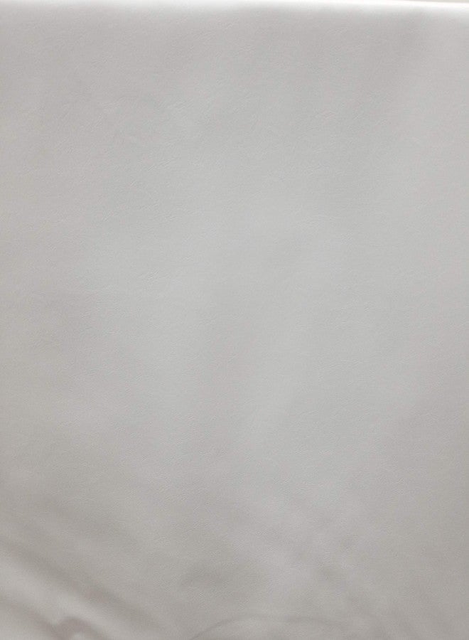 NAT LEATHERS جلد نات | جلد صناعي نباتي أبيض ناعم (معتمد من بيتا) | 3 ياردات (108 × 54 بوصة) يُقطع بالياردة | جلد صناعي نابا ناعم 0.9 مم للتنجيد | 108 × 54 بوصة - Image 2