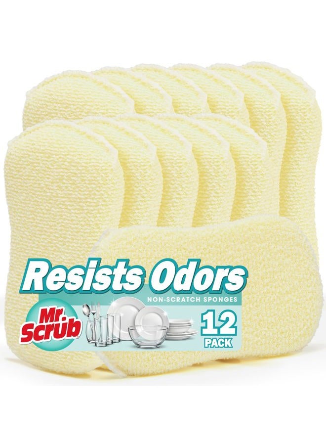 Mr. Scrub Sponges Kitchen Scrub Dish Sponge Scouring Pad, 12 Pcs Cleaning Soap Brush Dishwashing Supplies for Dawn, Magic Dinnerware Sets Toilet Towels Cloth Holder Sink Pan Pot Eraser - Image 1