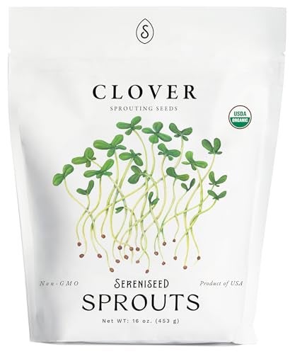 Sereniseed Organic Clover Sprout Seeds (16 oz) – Non-GMO, Heirloom Seeds for Sprouting and Microgreens - Image 5