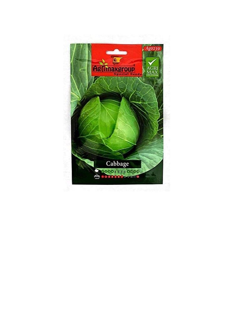 أجريماكس بذور الكرنب من Agrimaxgroup  - Image 1