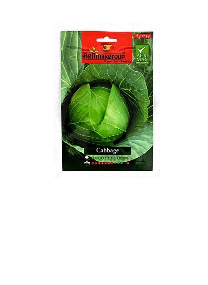 أجريماكس بذور الكرنب من Agrimaxgroup  - Image 3