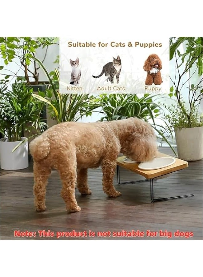 بيوينتي بيونتي اوعية طعام مرتفعة للقطط والكلاب، وعاء طعام للقطط والكلاب في الاماكن المغلقة، اطباق طعام مرتفعة مائلة 15 درجة، حامل ماء من الخيزران الصلب للقطط والجراء - Image 4