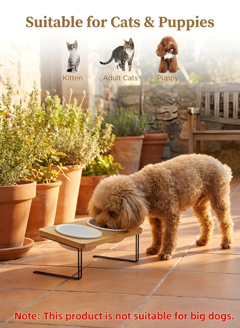 Beauenty Elevated Cat Bowls,Ceramic Dog bowls,Cat/Dog food bowl for indoor,Small Dog 15°Tilted Raised Food Feeding Dishes,Solid Bamboo Water Stand Feeder Set for Cats and Puppy - Image 4
