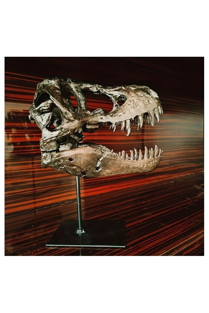 HOMESTAR 1pc Realistic T-Rex Skull Replica - Handcrafted Dinosaur Bone Texture, Resin Dinosaur Skull Model for Indoor/Outdoor Home & Office Decor, No Electricity Needed, Lifelike Prehistoric Display, Outdoor Decoration | Realistic Dinosaur Decor | Detailed Craftsmanship - Image 5