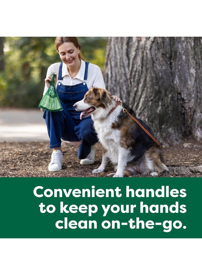 إيرث ريتد أكياس فضلات الكلاب المقاومة للعوامل الجوية مع مقابض، عبوة اقتصادية، سهلة الربط ومقاومة للتسرب، لون لافندر، 600 كيس بمقبض - Image 3
