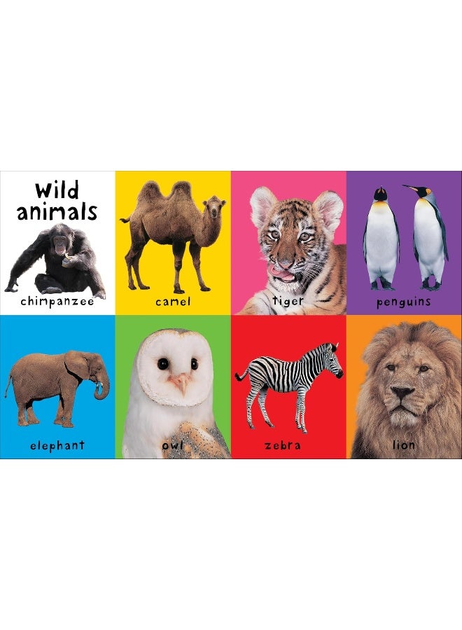Animals: First 100 Soft To Touch  - Image 3