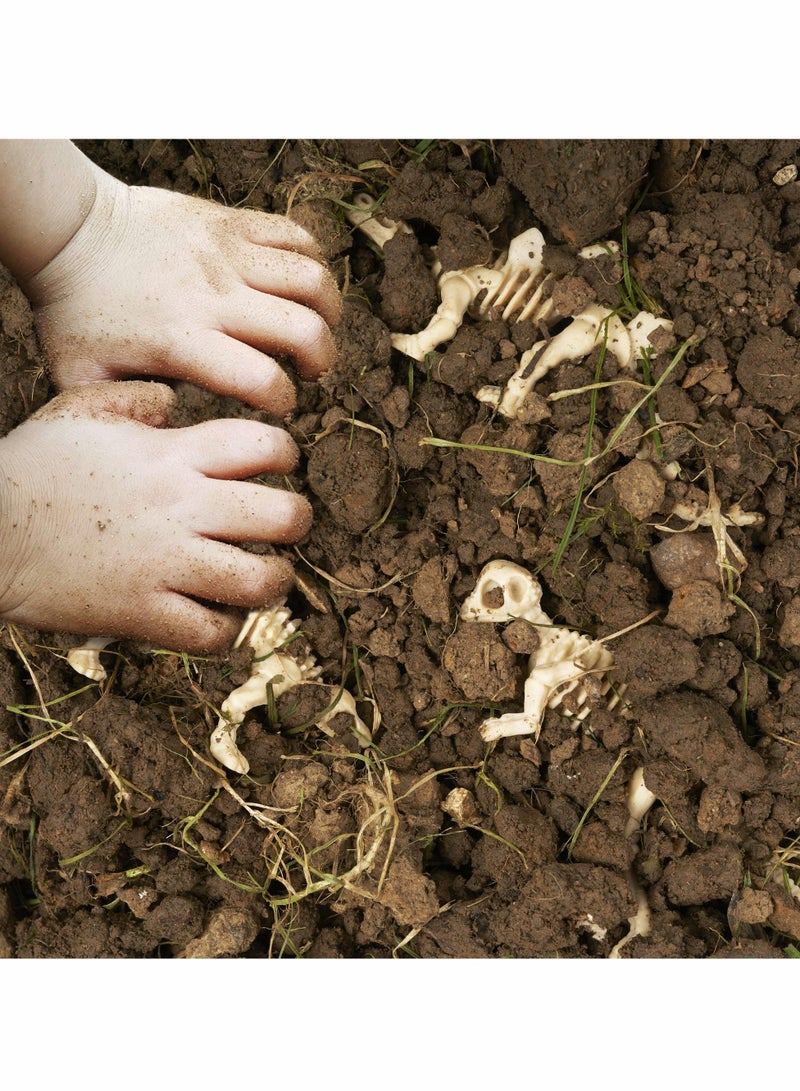 Excefore Dinosaur Fossil Skeletons,Figures Dino Bones,Dinosaur Skeleton Toys for Dino Sand Dig,Science Play,Party Favor,12 Styles,36 Pack - Image 4