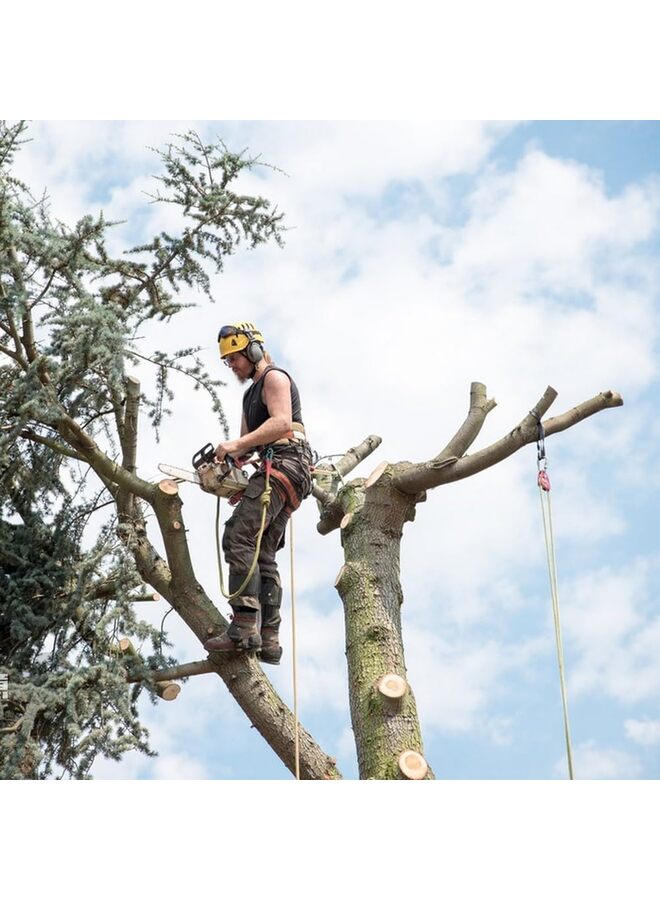 حبل تسلق بطول 10 أمتار مصنوع من البوليستر المضفر، حبل خارجي لتسلق الأشجار والمشي لمسافات طويلة والتخييم والأرجوحة باللون الأخضر - Image 2