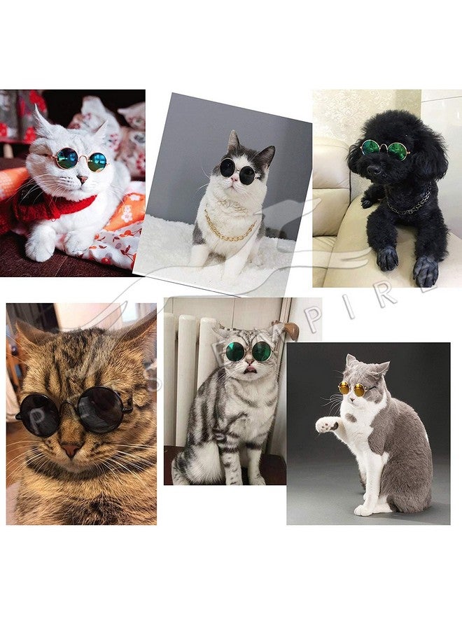 بتس إمباير نظارات شمسية عصرية للقطط والكلاب الأليفة، نظارات شمسية واقية من الأشعة فوق البنفسجية للعين - قطعة واحدة، قد يختلف اللون - Image 2
