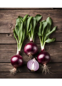 GROW Red onion seeds al-fajr  - Image 2
