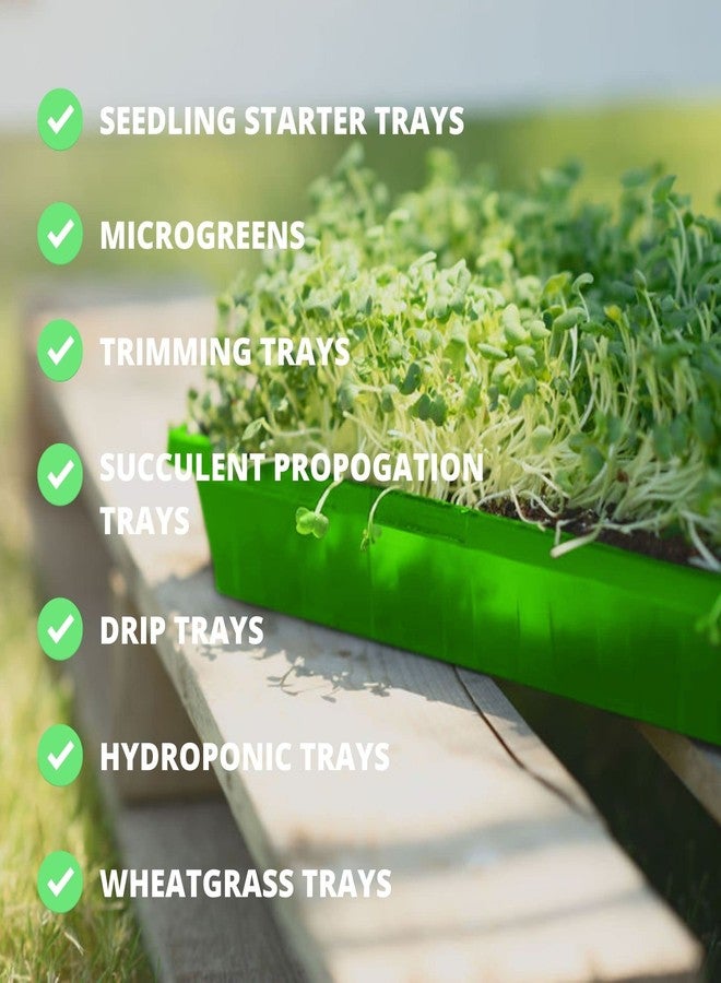Hemlock Home Brewing 1020 Seed Starting Trays, Plant Tray, Microgreens Growing Trays, Plastic Seed Trays, Reusable Seedling Tray, 5-Pack Growing Trays, Germination Tray, Planting Tray, Plant Tray For Seedlings - Image 4
