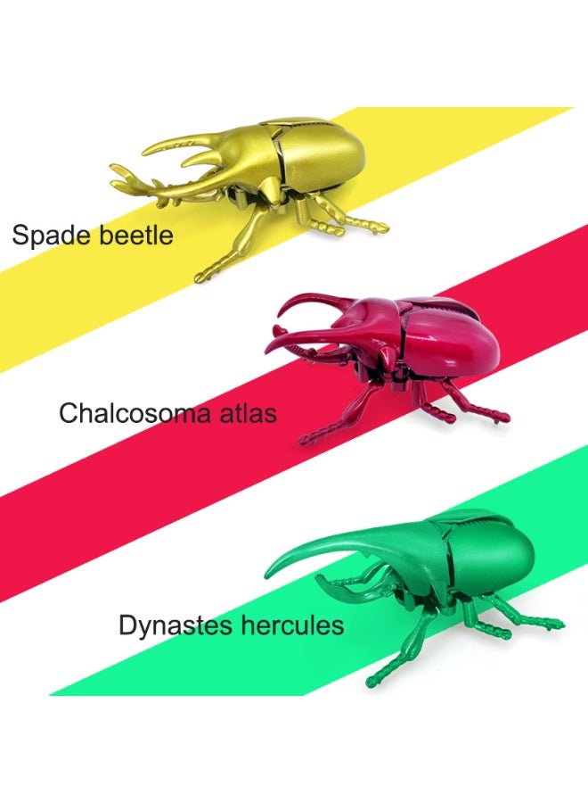 NIBEMINENT Creative Chain-Driven Cute Beetle Simulation Toy
