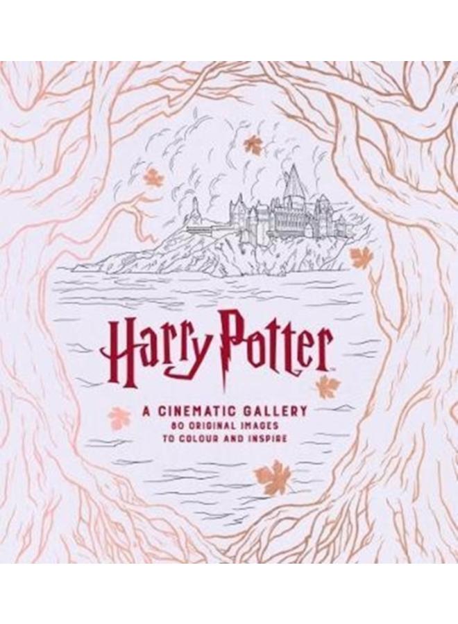 Harry Potter A Cinematic Gallery 