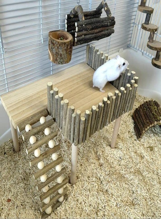 Tnfeeon Hamster with Climbing Ladder, Guinea Pig Toys Chinchilla Perch Cage Accessories Toy Wooden Play Gym Stand for Hamsters Squirrel Guinea Pig - Image 4