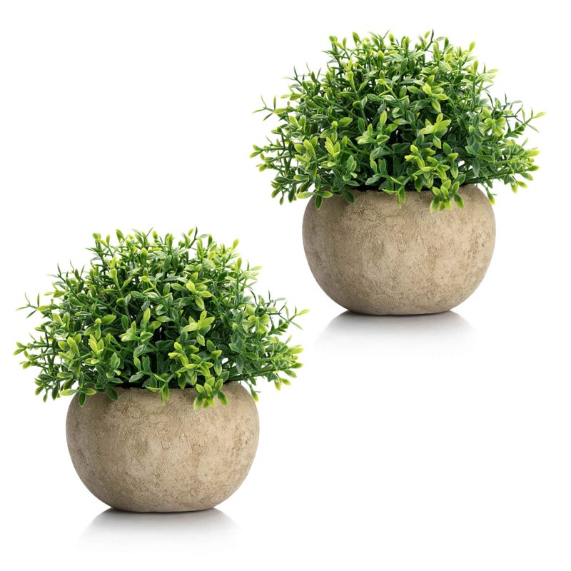 Velener 2Pcs Mini Artificial Boxwood Topiary Faux Plants Indoor Small Fake Plants Decor Magnolia Home Office Desk Cubicle Farmhouse Kitchen Bookshelf Bedroom Bathroom Decor Aloe Vera Zen Garden