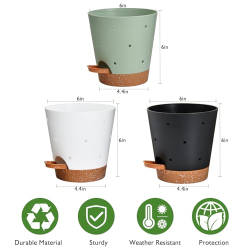 Vanslogreen Orchid Pots with Holes, 6 Inch Self Watering Orchid Pot 3 Pack Plastic Plant Pots for Orchid, Flower (Multicolor) - Image 5