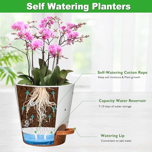 Vanslogreen Orchid Pots with Holes, 6 Inch Self Watering Orchid Pot 3 Pack Plastic Plant Pots for Orchid, Flower (Multicolor) - Image 3