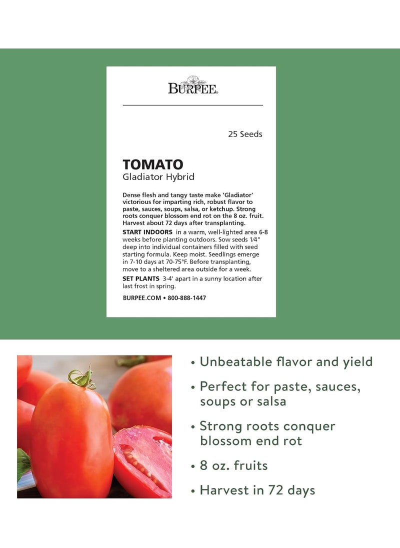 Burpee Burpee Gladiator25 NonGMO Seeds Hybrid Red Slicing  Paste Delicious Roma Tomato Variety Indeterminate Seeds for Home Garden  - Image 2