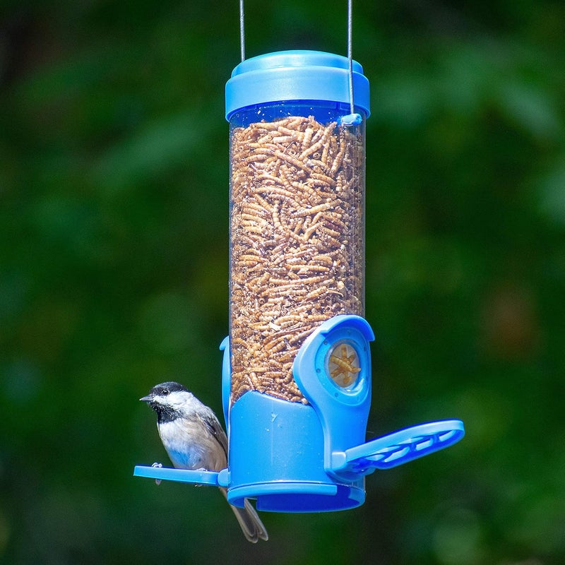 Perky-Pet 388F Dried Mealworm Bird Feeder with Flexports - Image 1