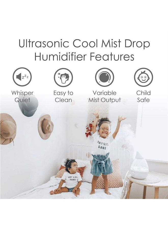 Crane - Ultrasonic Cool Mist Humidifier for Bedroom, Baby Nursery, Kids Room, Plants, or Office, Large 1 Gallon Tank, Filter Optional, Clear and White - Image 1