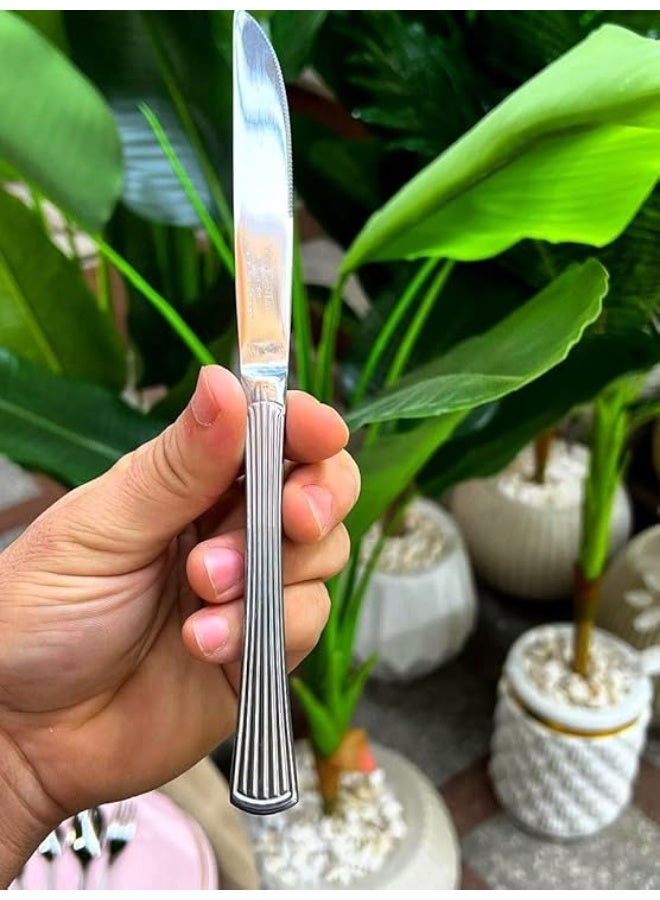 طقم سكاكين من الستانلس ستيل عالي الجودة، مكوّن من 6 قطع، تصميم أنيق بمقبض مخطط. - Image 1