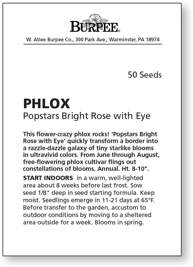 Burpee بربى بوبستارز وردي ساطع مع بذور فلوكس العين 50 بذور - Image 2