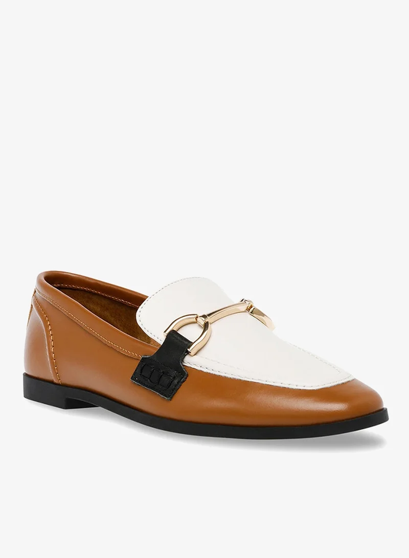 STEVE MADDEN  Carrine Tan Women's Sneakers for Women | Best Price UAE