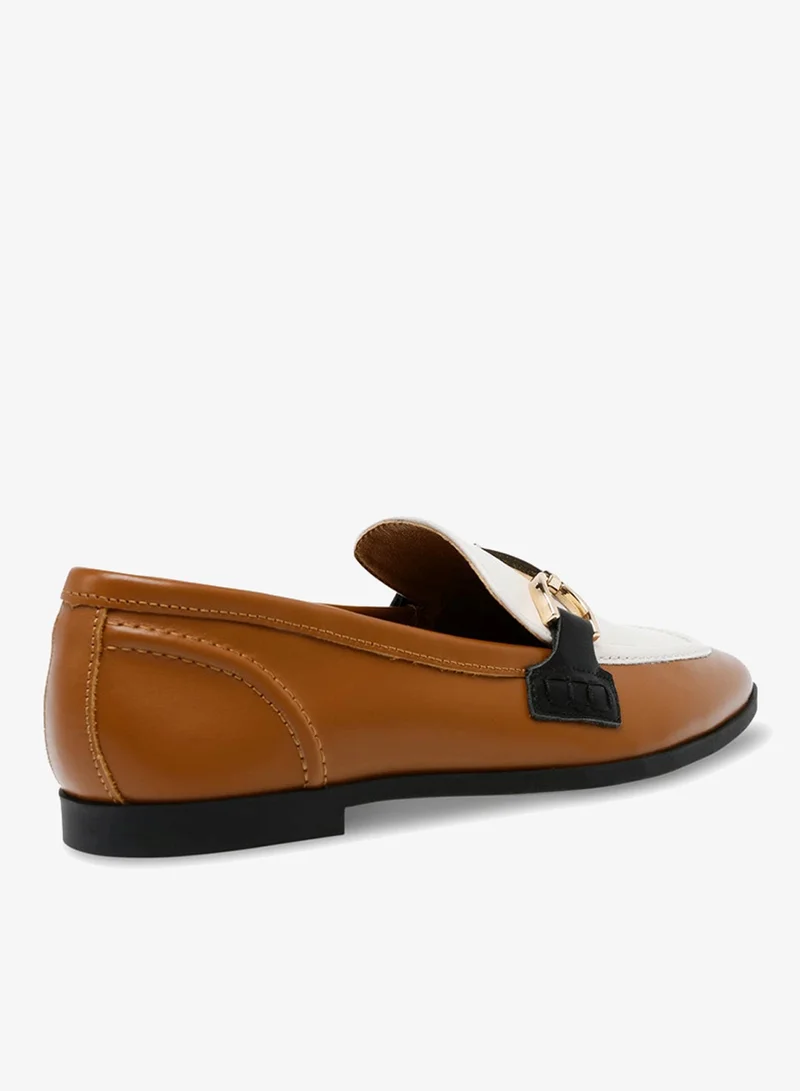 STEVE MADDEN  Carrine Tan Women's Sneakers for Women | Best Price UAE