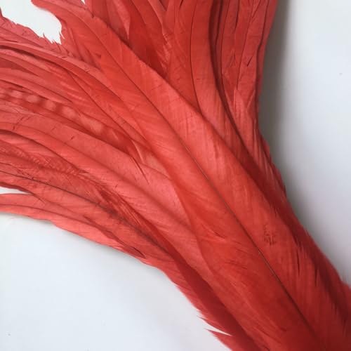 Shekyeon 12-14inch Rooster Tail Feather Used Hats Costume Decoration Pack of 50(red) - Image 3