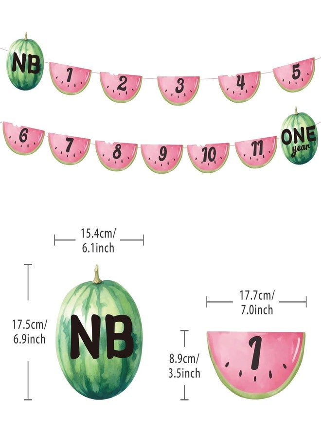 Aukolass Watermelon Photo Banner Summer Fruit Themed Party Decor for Baby Shower，1st Birthday Photo Banner Newborn to 12 Month Milestone Photograph (PINK) - Image 2